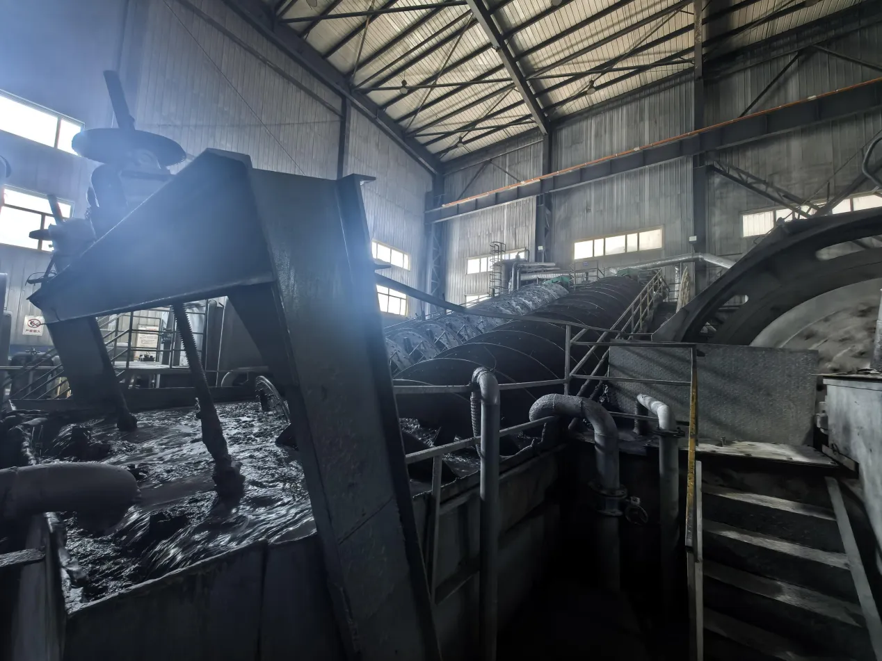 The Complete Graphite Flotation Process The Transformation from Raw Ore to High-Carbon Concentrate - detail image 2